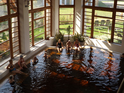 Kellemes hangulatú, nyugdíjas találkozóval egybekötött egészségnapot tartanak 2015. március 10-én, kedden a Makói Hagymatikum Gyógyfürdőben. Ezen a napon a nyugdíjasok számos kedvezményben részesülnek.  