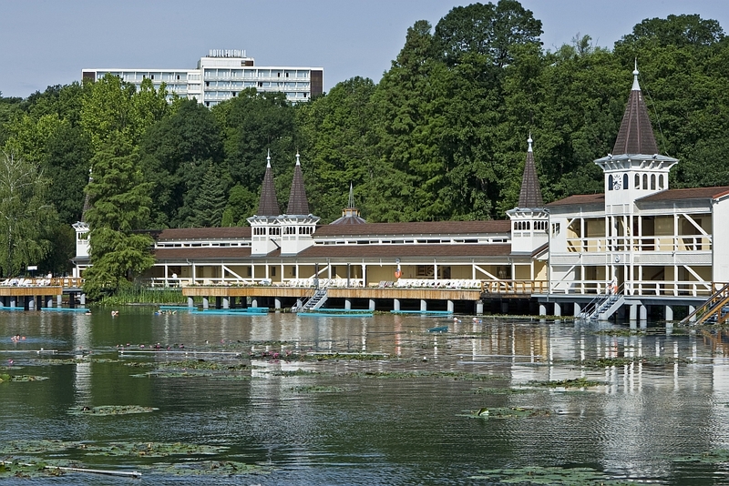 Danubius Health Spa Resort Hévíz - Rálátás a tóról