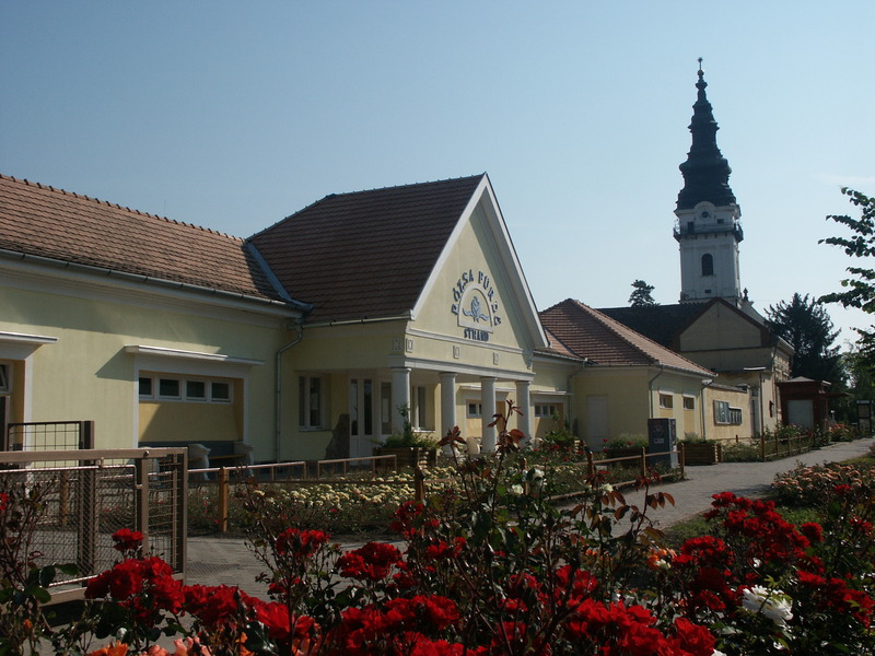 Rózsa Fürdő és Gyógyászat