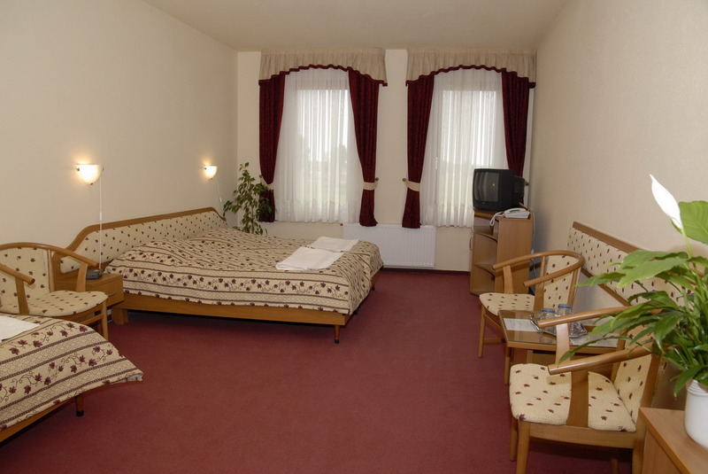 Hotel Imperial Gyógyszálló és Gyógyfürdő  - Szoba