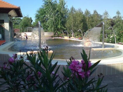 Termál Hotel Pávai Gyógyszálloda - medence
