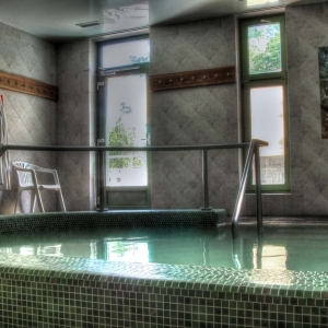 Thermal Hotel Harkány - medence