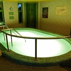 Thermal Hotel Harkány - medence