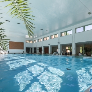 Thermal Hotel Harkány - medence
