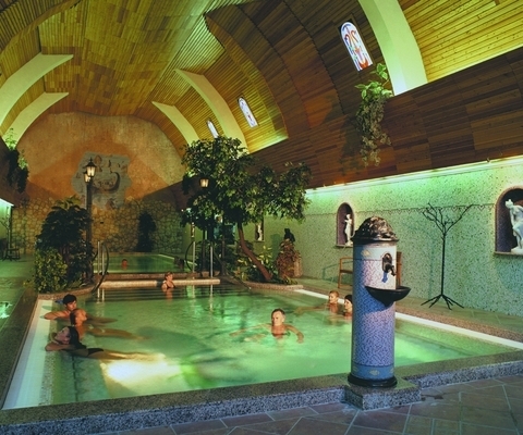 Naturmed Hotel Carbona Superior Hévízen - medence