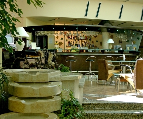 Naturmed Hotel Carbona Superior Hévízen - bár