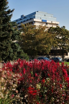 Danubius Health Spa Resort Margitsziget**** Superior Budapesten