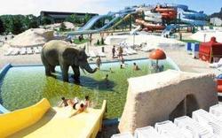 A jövőben használhatja a fogyasztóbarát vállalkozás védjegyet a hajdúszoboszlói Hungarospa Zrt. Az erről szóló tanúsítványt Kathy Attila, a Nemzeti Fogyasztóvédelmi Hatóság (NFH) kabinetfőnöke adta át Czeglédi Gyula vezérigazgatónak a fürdővárosban. 