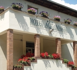 Értékesíti háromcsillagos szállodáját Hévíz önkormányzata. A hotel eladásából legalább 1,4 milliárd forint bevételt remélnekl. 