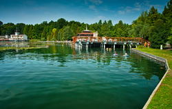 Néhány magyar tudós bizonyítékokat keresett arra, hogy a magyar gyógyvizek hatékonyak, és egyben arra is, hogy a magyar balneológia tudományos szempontból a világ élvonalába tartozik – részben saját eredményeik publikálásával, részben az ezzel kapcsolatos kutatások összegyűjtésével. Mind a két állítást sikerült bebizonyítani.  