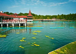Hévíz komoly erőfeszítéseket tesz azért, hogy az egyedülálló tó a világörökség részévé váljon, ehhez a legfontosabb lépés a tó és a tradicionális hévízi gyógyászat magyar értéktárba kerülése volt az év elején, és újabb igen nagy lépés Hungarikummá nyilvánítása. 