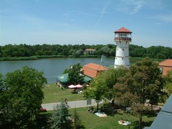 A gyopárosi fürdő termálvíze 34 Celsius-fok alatt gyulladáscsökkentő, míg magasabb hőmérsékleten az izmok görcsösségét oldó hatásával lehet gyógyír panaszainkra. A mórahalmi Erzsébet gyógyvíz és az Árpád gyógyvíz egyaránt alkalmasak kopásos és gyulladásos izületi-, illetve gerincbetegségek, izomreuma, valamint nőgyógyászati megbetegedések esetében segíthet. A tiszakécskei fürdő termálvize műtéti utókezelésekre, reumatikus, ízületi, mozgásszervi megbetegedésekre és nőgyógyászati problémák gyógyítására használható. És ez még nem minden.  