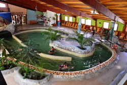 A Mecsek lábánál fekvő Magyarhertelend termálfürdője már ránézésre jókedvre deríti a látogatóit: girbegurba belső terei, a szivárvány minden színében pompázó falai, fekte-fehér csempéi  Hundertwasser stílusát idézik. A 4 fedett és az ősparktól körülölelt hat szabadtéri medence mindegyike más-más hőfokú és rendeltetésű. Míg nagyi reumáján a gyógyvizes medence segít, a legkisebbek a babapancsolókban élvezhetik a nyarat.  