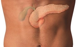 A hurut a nyálkahártyák és belső szervek hámmal fedett területeinek enyhe gyulladását jelenti. Az epehólyag üreges szerv, mely a májban termelődő epét tárolja. Az epe a zsírok emésztéséhez szükséges. 